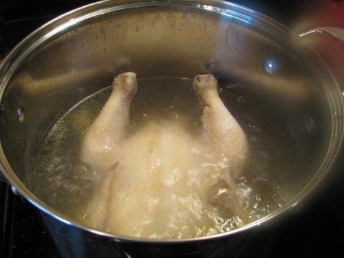 [Image: chicken-stock-500x375.jpg]